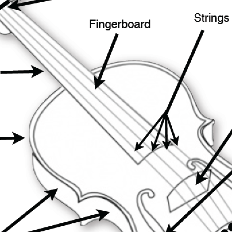 Parts of the Instrument/Bow Worksheet & Quiz